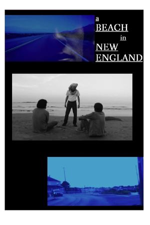 A Beach in New England's poster