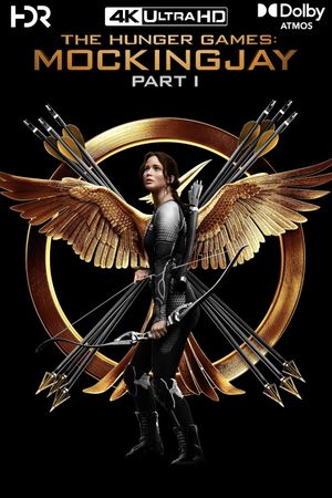 The Hunger Games: Mockingjay - Part 1's poster