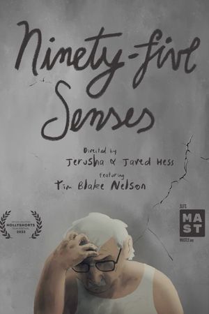 Ninety-Five Senses's poster