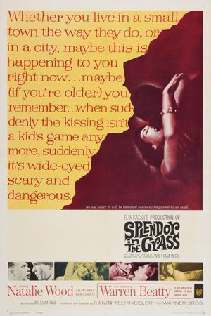 Splendor in the Grass's poster