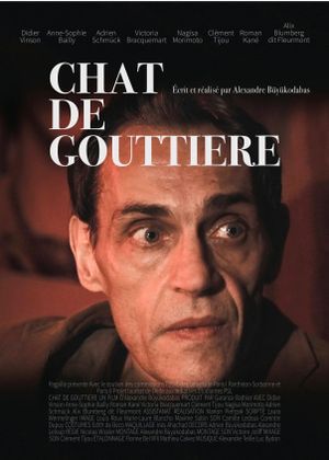 Chat de gouttière's poster