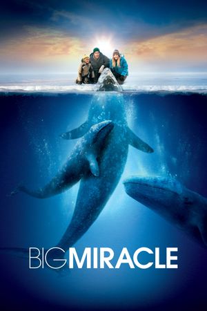 Big Miracle's poster