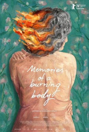 Memories of a Burning Body's poster