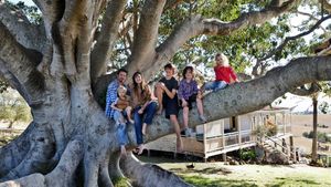 The Tree's poster