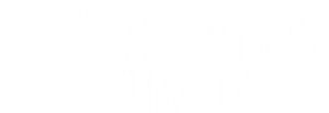 Kill It and Leave This Town's poster