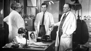 The Young Doctors's poster