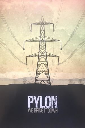 Pylon's poster