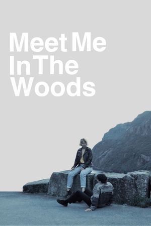 Meet me in the woods's poster