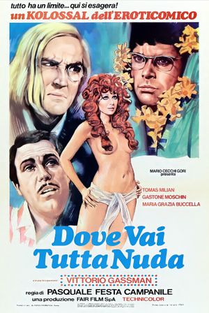 Dove vai tutta nuda?'s poster
