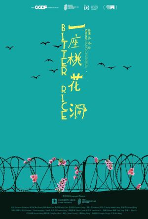 Bitter Rice's poster
