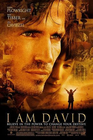 I Am David's poster