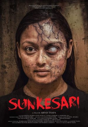 Sunkesari's poster