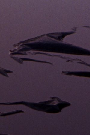 Plastic Aortas's poster