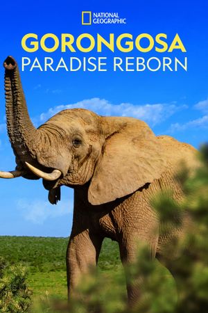 Gorongosa: Paradise Reborn's poster