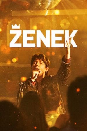 Zenek's poster