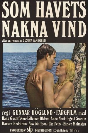 One Swedish Summer's poster