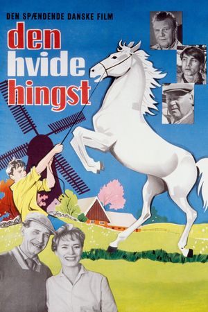 The Boy Who Loved Horses's poster