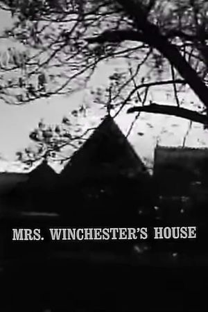 Mrs. Winchester's House's poster