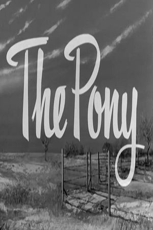 The Pony's poster image