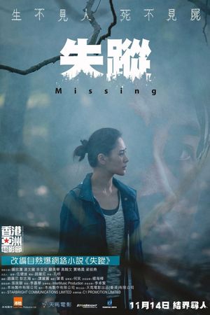 Missing's poster image