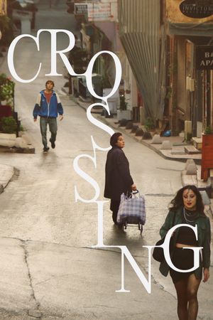Crossing's poster