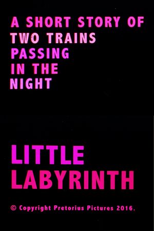 Little Labyrinth's poster