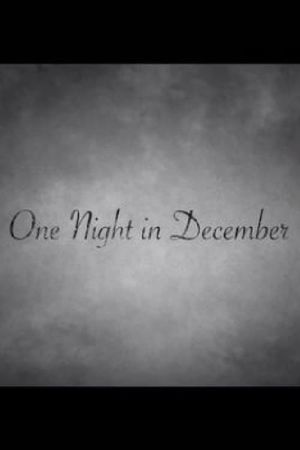 One Night in December's poster