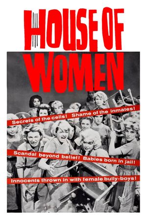 House of Women's poster