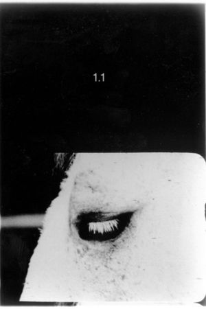 Pocket Cinema - The Catalogue's poster