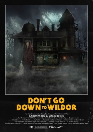 Don’t Go Down to Wildor's poster