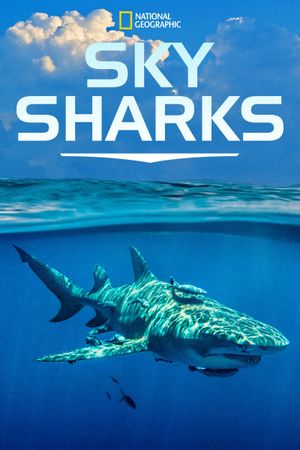 Sky Sharks's poster