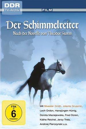 Der Schimmelreiter's poster
