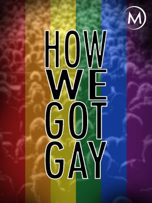 How We Got Gay's poster
