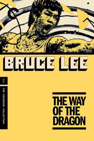 The Way of the Dragon's poster