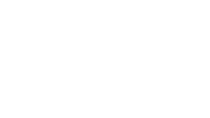 Little Wing's poster