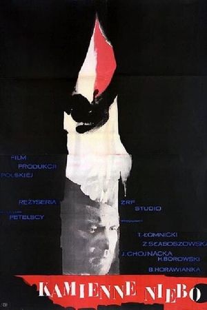 The Stone Sky's poster