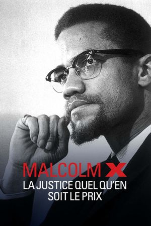 Malcolm X, la justice quel qu'en soit le prix's poster