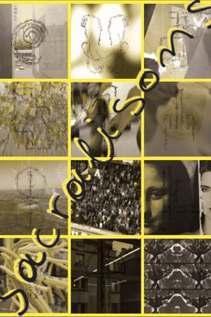 Sacralisons's poster