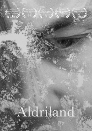 Neverland's poster