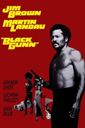 Black Gunn's poster