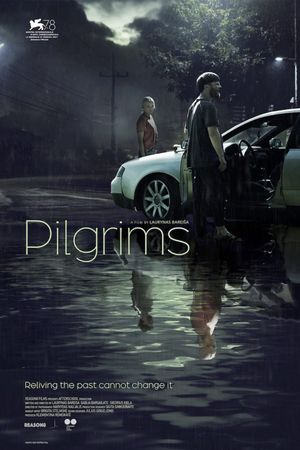 Pilgrims's poster
