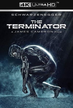 The Terminator's poster