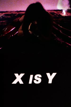 X Is Y's poster