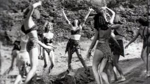 Wild Women's poster