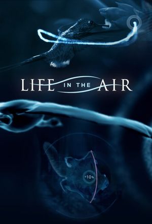 Life in the Air's poster