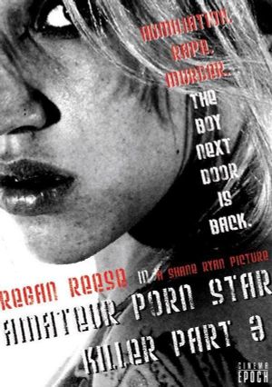 Amateur Porn Star Killer 3: The Final Chapter's poster