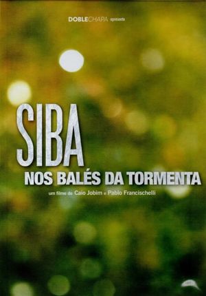 Siba: Nos Balés da Tormenta's poster