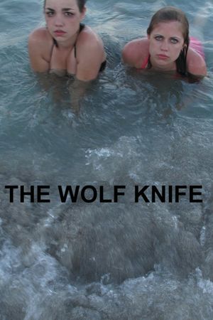 The Wolf Knife's poster