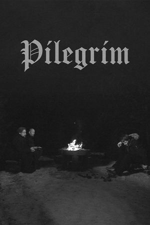 Pilgrim's poster