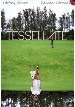 Tessellate's poster